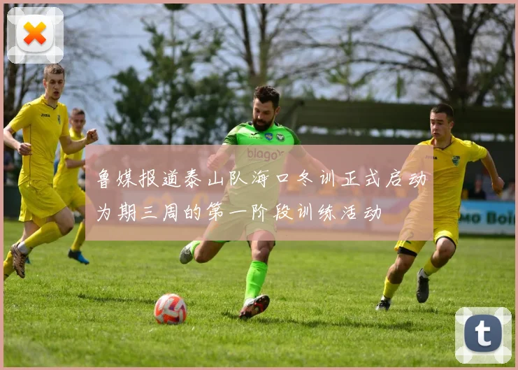 鲁媒报道泰山队海口冬训正式启动为期三周的第一阶段训练活动